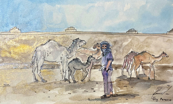 Camel trade in morocco by ardelean emanuela